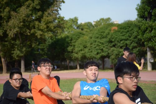 裝飾性圖片
