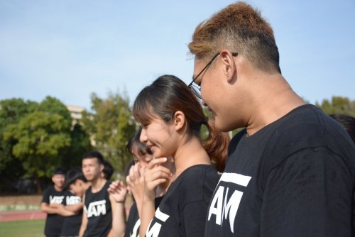 裝飾性圖片