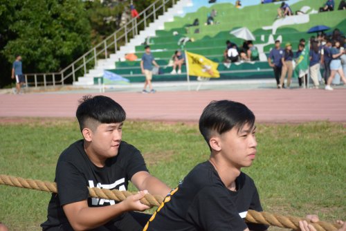 裝飾性圖片