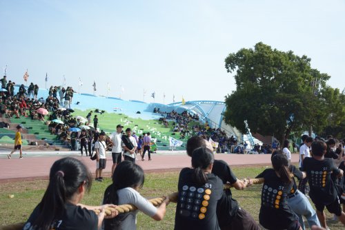 裝飾性圖片