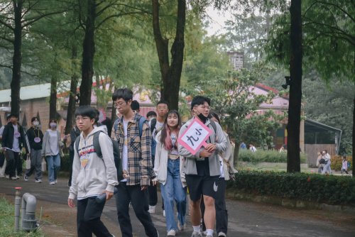 裝飾性圖片