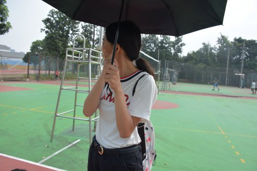 裝飾性圖片