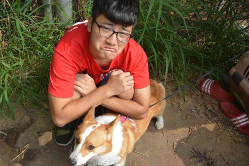 裝飾性圖片